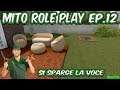 Mito Role Play Ep. 12 Si sparge la voce | House Flipper