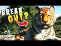 Planet Zoo - I Built a Zoo and Want The Tigers To Break Out (Planet Zoo Gameplay)