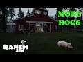 Ranch Sim Ep 9     We go on a little hunting trip and we get more hogs for the barn