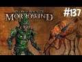 The Elder Scrolls 3: Morrowind part 137 (German)