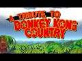 A Tribute To Donkey Kong Country!!