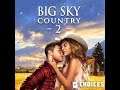 Choices: Stories You Play - Big Sky Country Book 2 Chapter 13 Diamonds Used