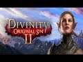 Divinity Original Sin 2: Enhanced edition.  Tactician difficulty. Part 1.