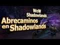🔥 La verdad sobre el Abrecaminos en WoW Shadowlands