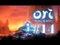 Ori and the Will of the Wisps #14- Waaierige woestijnen
