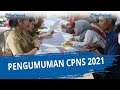 PENGUMUMAN Pembukaan CPNS 2021