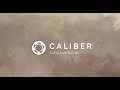 [GER/PC] | Special Operation erstmaliger Erfolg | @caliber_game #caliber #playcaliber