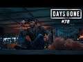 Let's Play Days Gone (PC/STEALTH/ ULTRA/4K)# 78 Rache