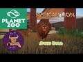 Planet  Zoo African Lion Speed Build