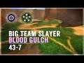 43 Kills on Halo: CE Blood Gulch