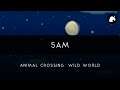 Animal Crossing: Wild World: 5AM Arrangement