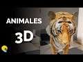 Animales en 3D dentro de casa: así se usa en cualquier móvil