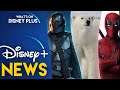 Disney+  Hong Kong & Taiwan Launch Pricing Announced | Disney Plus News