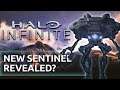 Halo Infinite NEWS - NEW Infinite Sentinels, Species and LEVEL possibly revealed!