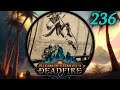 Taking the Floating Hangman - Let's Play Pillars of Eternity II: Deadfire (PotD) #236