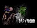 The Darkwood Stream