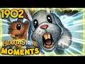 The Priest Class Is TOTALLY BALANCED! | Hearthstone Daily Moments Ep.1902