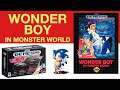 Wonder Boy in Monster World - Sega Genesis Mini Series - Game 41