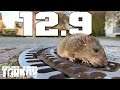 I wish there was no Wipe - Escape from Tarkov 12.9