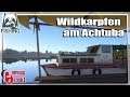 Russian Fishing 4 ★ Dicke Wildkarpfen am Achtuba - Ein sehr unbeständiger Spot | Gameplay Deutsch