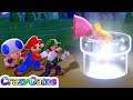Super Mario 3D World - World 1 Gameplay (All Green Star)