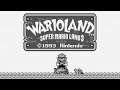Wario Land: Super Mario Land 3 【Longplay】