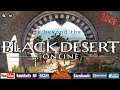 📢 Играем в БДО , Фарм ... Black Desert Online / EU 20.06