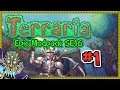 Calamity Is Back?! - Terraria Epic Modpack (Part 1) [SE16]