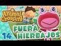 ¡HIERBAJOS FUERA! 🍀 ANIMAL CROSSING NEW HORIZONS #14