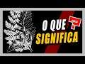 Qual é o SIGNIFICADO da TATTOO da Ellie? [The Last of Us Part 2]