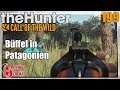 The Hunter Call of the Wild ★ Mit der King 470er auf Büffel in Patagonien [199] Let's Play Deutsch