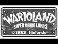World Map - Wario Land: Super Mario Land 3