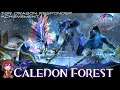 GW2 - Top Dragon Responder - Caledon Forest