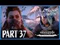 Horizon Zero Dawn (PS4) | TTG Playthrough #1 - Part 37 [ The Frozen Wilds ]