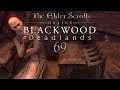 Let's Play ESO - Blackwood: Deadlands [Blind] [Deutsch] Part 69 - Elegians Wahnsinn