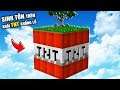 Minecraft NHƯNG SINH TỒN BÊN TRONG KHỐI TNT KHỔNG LỒ !!!