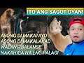 PAANO GAMUTIN ANG ASONG DI MAKATAYO #eskatvbuhayprobinsya