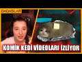 Pqueen - Komik Kedi Videoları İzliyor !