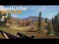 The Hunter Call of the Wild - BEAR!!  - Explore the Outposts