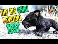Ark The Big Chibi Leveling Test Ark Survival Evolved Chibi Winter Wonderland 2019