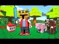 Minecraft DON'T ENTER THE LEGO WORLD WITH LEGO MOBS MOD / DANGEROUS HOUSE SURVIVAL !! Minecraft Mods