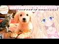 NINTENDOGS AND CATS IS BACKKKK ~ Pupps and Purrs Animal Hospital ~ VTuber