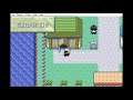 Pokemon Emerald Part 10: The Plot Continues