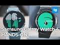 Samsung Galaxy Watch 4 HANDS-ON! Here's what's new