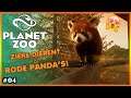 ZIEKE DIEREN? + Nieuw RODE PANDA Verblijf Bouwen! | Planet Zoo Update - Stefanie Darkson