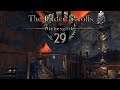 ESO - Thieves Guild [Let's Play] [German] Part 29 - Laut und Leise