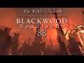 Let's Play ESO - Blackwood: Deadlands [Blind] [Deutsch] Part 88 - Das Brandmal-Reformatorium