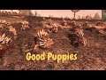 Razordons = The Best Puppies. Lizardmen vs Dark Elves. Total War Warhammer 2 Multiplayer.