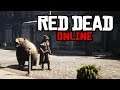 Red Dead Online WTF & Funny Moments Ep. 1