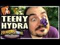 A TEENY HYDRA WILL DO! - Hearthstone Battlegrounds
